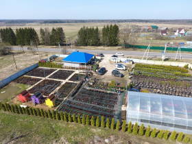 Садовый центр в селе Рюховское- лучшие растения для вашего сада